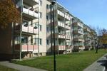 Etagenwohnung Neustrelitz - 3 Zimmer, 59 m&sup2;, 503&euro; | Angebot:23147025