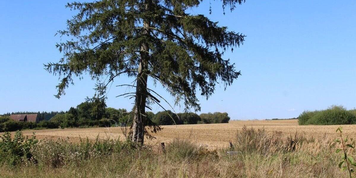 Einfamilienhaus Lindetal / Bredenfelde Bredenfelde - 7 Zimmer, 130 m&sup2;, 65.000&euro; | Angebot:25668105