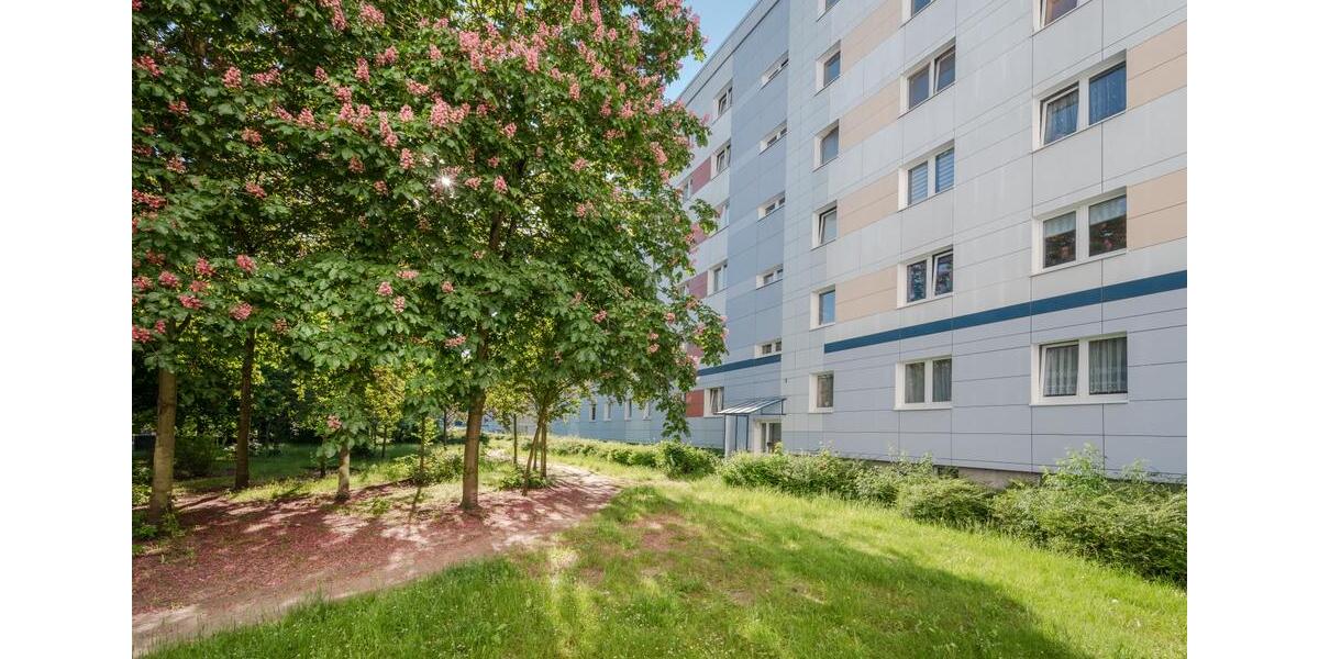 Etagenwohnung Neubrandenburg Datzeberg - 3 Zimmer, 60 m&sup2;, 250&euro; | Angebot:25886657