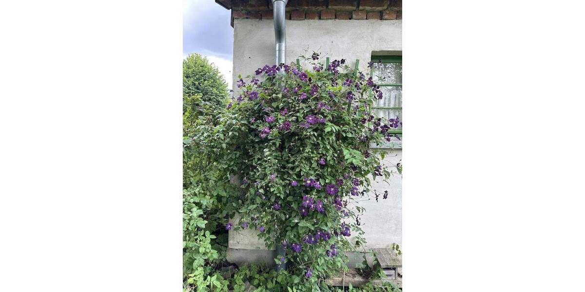 Bauernhaus, Landhaus Gnevkow OT Prützen Prützen - 5 Zimmer, 145 m&sup2;, 298.000&euro; | Angebot:25728271