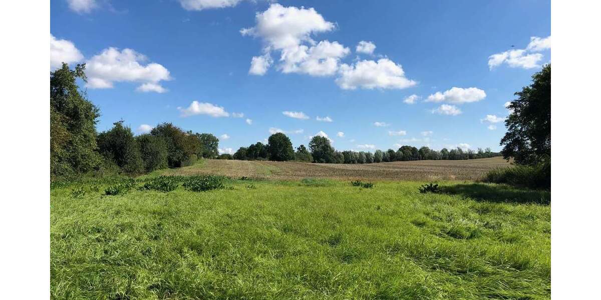 Einfamilienhaus Kriesow - 5 Zimmer, 130 m&sup2;, 355.335&euro; | Angebot:25193157