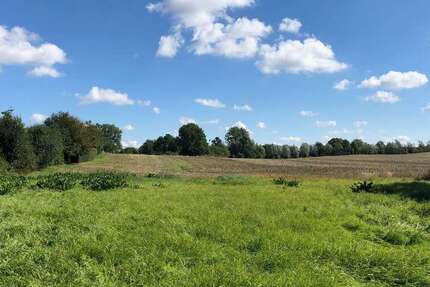 Haus Kriesow - 5 Zimmer, 130 m&sup2;, 355.335&euro; | Angebot:25193157