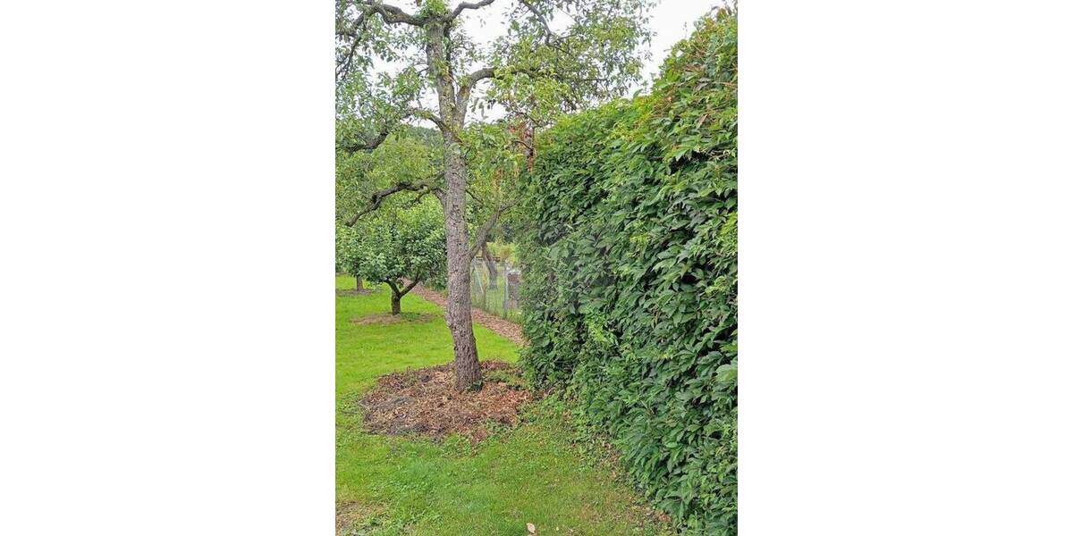 Grundstück Neubrandenburg Lindetal - 32.000&euro; | Angebot:26703291
