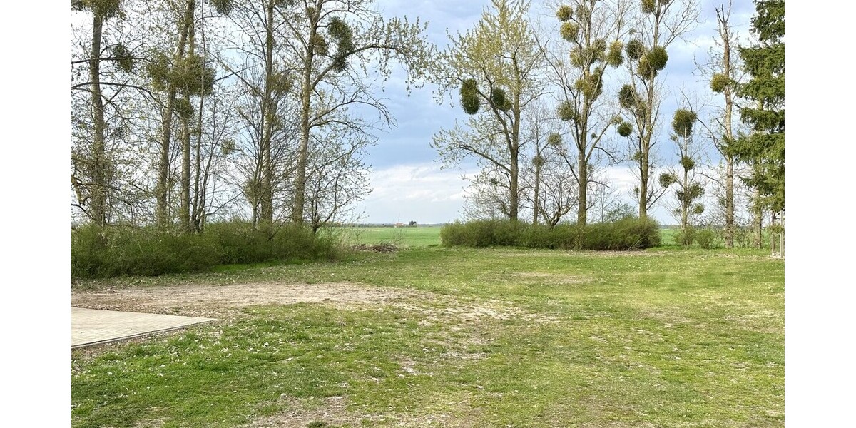 HORN IMMOBILIEN ++ RESERVIERT! schönes Einfamilienhaus mit großem Grundstück in Randlage, Jatzke bei Friedland - Einfamilienhaus Friedland / Jatzke Jatzke | Angebot:26339708