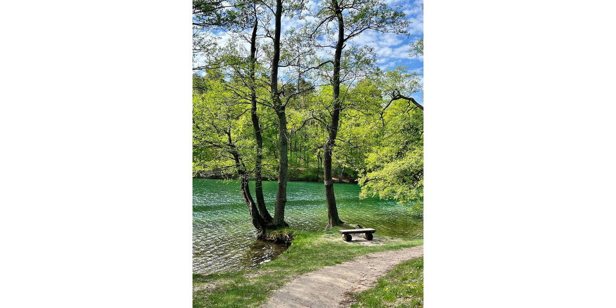 Doppelhaushälfte Feldberger Seenlandschaft Feldberg - 4 Zimmer, 9 m&sup2;, 349.000&euro; | Angebot:25716276