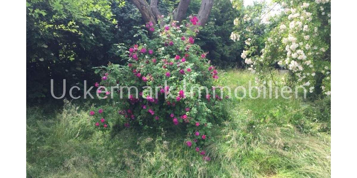 Doppelhaushälfte Blankensee - 4 Zimmer, 100 m&sup2;, 330.000&euro; | Angebot:25747643