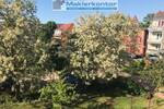 Etagenwohnung Neubrandenburg Innenstadt - 2 Zimmer, 56 m&sup2;, 119.000&euro; | Angebot:26358585