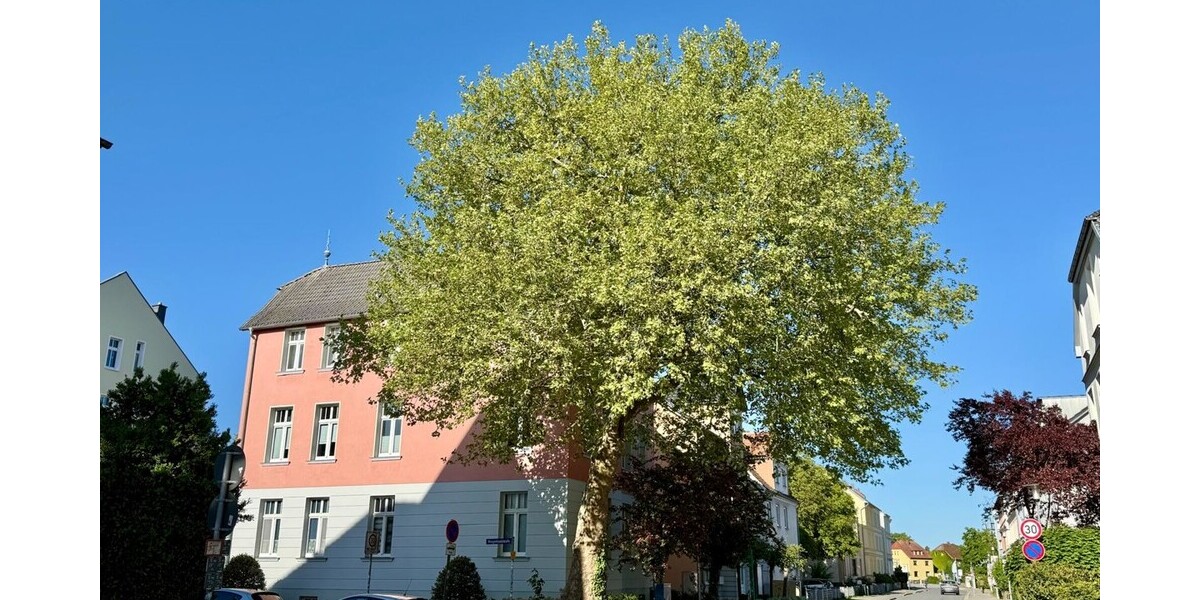 HORN IMMOBILIEN ++ Neubrandenburg, schöne 4-Raum ETW im EG mit Balkon, 2 Parkplätze -bezugsfrei- - Erdgeschoßwohnung Neubrandenburg | Angebot:26085784