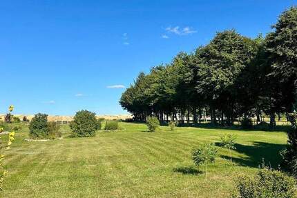 Haus Feldberger Seenlandschaft Neuhof - 3 Zimmer, 138 m&sup2;, 349.000&euro; | Angebot:25687322