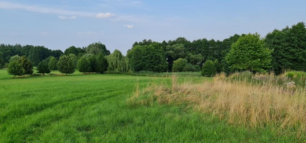 Ganz nah am Tollensesee - Grundstück Penzlin | Angebot:19800428