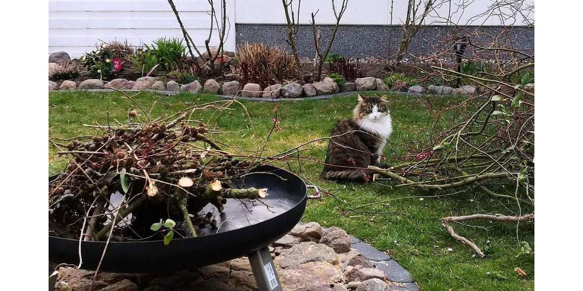 Einfamilienhaus Blankensee OT Wanzka Wanzka - 5 Zimmer, 176 m&sup2;, 360.000&euro; | Angebot:25824889