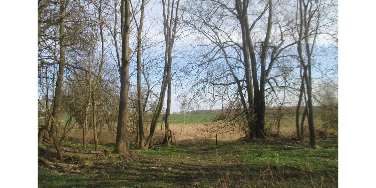 Mehrfamilienhaus, Wohnhaus Stavenhagen - 16 Zimmer, 440 m&sup2;, 140.000&euro; | Angebot:13897782