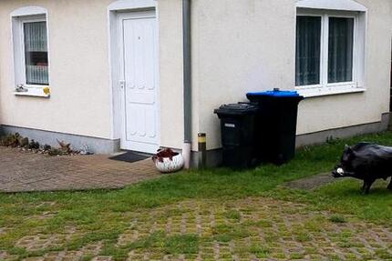 Wohnung Wulkenzin - 1 Zimmer, 25 m&sup2;, 400&euro; | Angebot:25163275