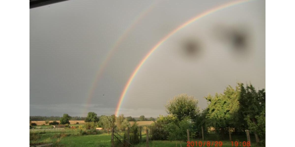 Bauernhaus, Landhaus Burow - 11 Zimmer, 269 m&sup2;, 250.000&euro; | Angebot:24715040