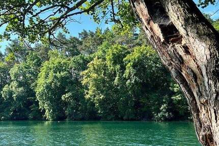 Haus Feldberger Seenlandschaft Feldberg - 4 Zimmer, 9 m&sup2;, 349.000&euro; | Angebot:25716276