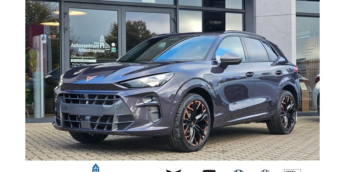 Cupra Terramar 41.500 km 46.900 &euro; Altentreptow 17087