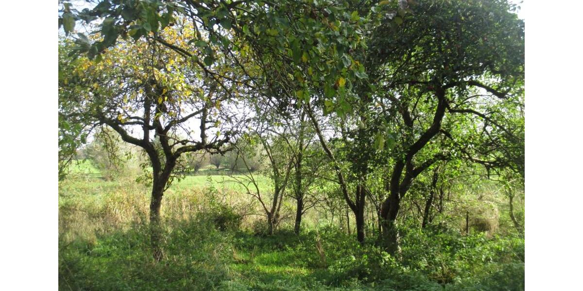 Mehrfamilienhaus, Wohnhaus Stavenhagen - 16 Zimmer, 440 m&sup2;, 140.000&euro; | Angebot:13897782