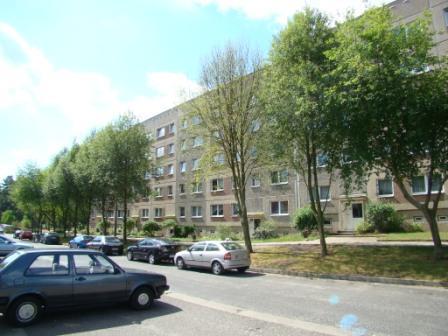 Etagenwohnung Neustrelitz - 3 Zimmer, 62 m&sup2;, 339&euro; | Angebot:23860211