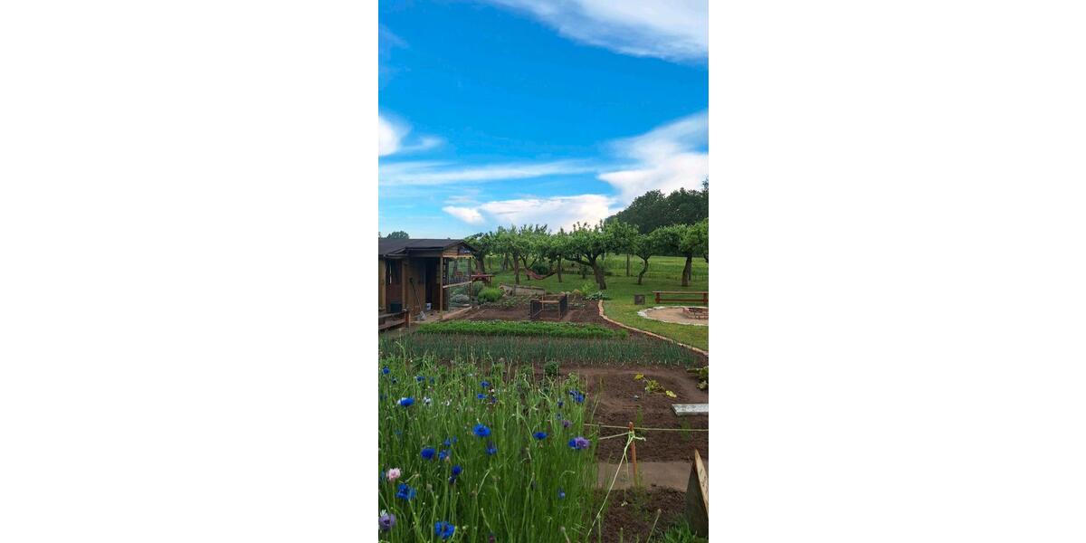 Einfamilienhaus Lindetal - 5 Zimmer, 124 m&sup2;, 260.000&euro; | Angebot:26113033