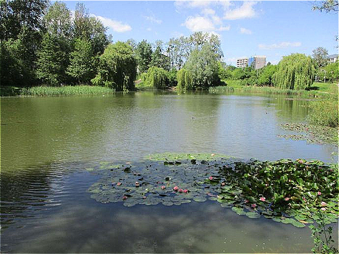 Etagenwohnung Neubrandenburg Oststadt - 3 Zimmer, 61 m&sup2;, 270&euro; | Angebot:25739582