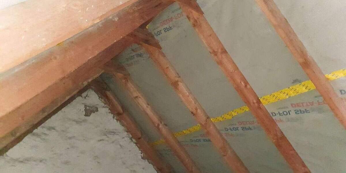 Einfamilienhaus mit Garage - nur wenige Gehminuten zum Tollensesee und ins Stadtzentrum - Einfamilienhaus Neubrandenburg Südstadt | Angebot:26084268