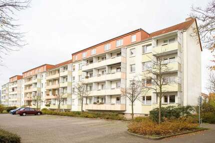 Wohnung Neubrandenburg Südstadt - 3 Zimmer, 64 m&sup2;, 434&euro; | Angebot:26984608