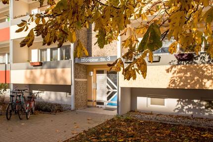 Wohnung Neubrandenburg Datzeberg - 3 Zimmer, 63 m&sup2;, 314&euro; | Angebot:25219749