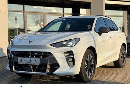 Cupra Terramar 30.544 km 34.500 &euro; Altentreptow 17087