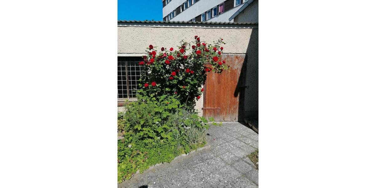 Einfamilienhaus Altentreptow - 5 Zimmer, 113 m&sup2;, 71.999&euro; | Angebot:26215343