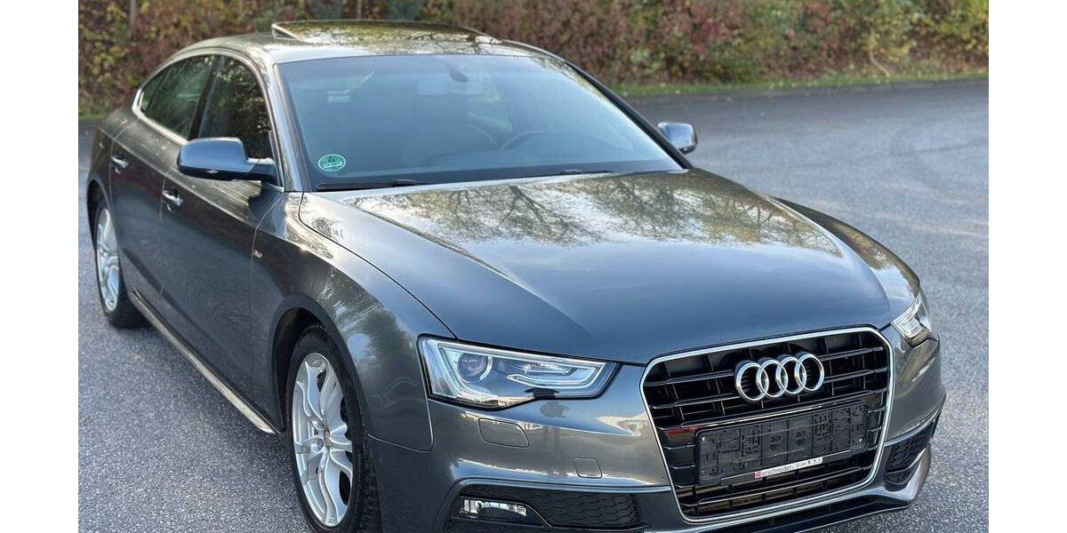 Audi A5 112.931 km 9.999 &euro; Penzlin 17219