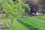 Grundstück Neubrandenburg Lindetal - 32.000&euro; | Angebot:26703291