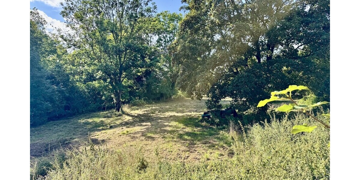 HORN IMMOBILIEN Denkmalgeschütztes Wohnhaus mit historischem Pferdestall, Breesen bei Neubrandenburg - Einfamilienhaus Breesen / Schwandt Schwandt | Angebot:27512083