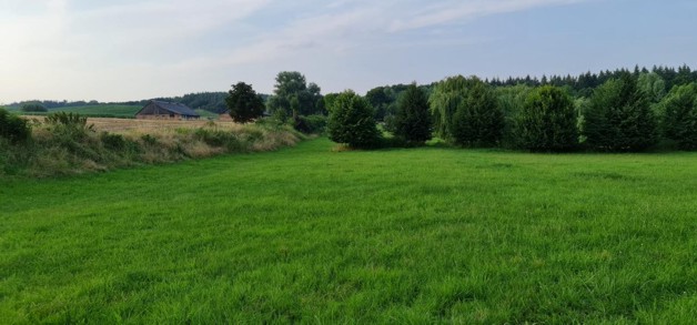 Ganz nah am Tollensesee - Grundstück Penzlin | Angebot:19800428