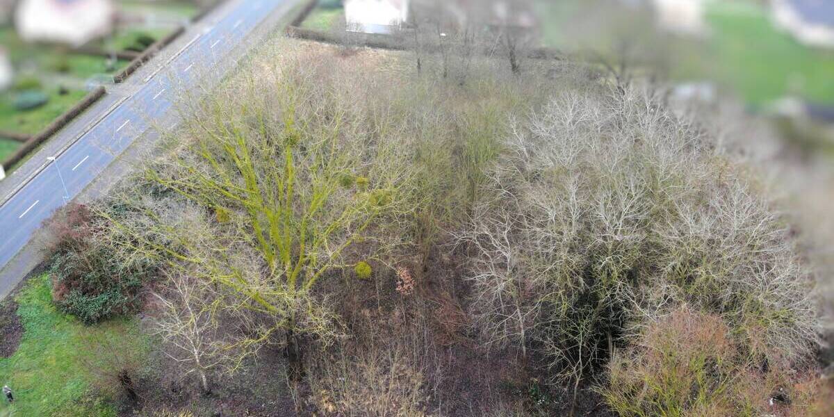 Grundstück Cölpin - 79.900&euro; | Angebot:25731342