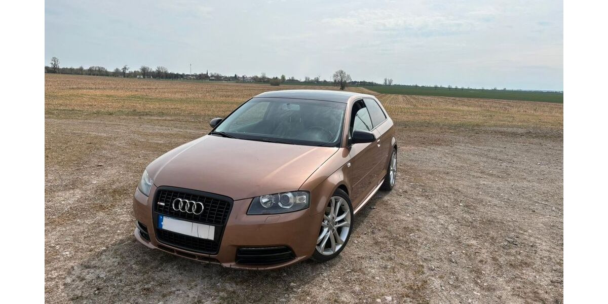 Audi A3 265.000 km 1.999 &euro; Bartow 17089