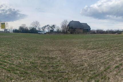 Haus Penzlin - 5 Zimmer, 120 m&sup2;, 259.000&euro; | Angebot:25565935