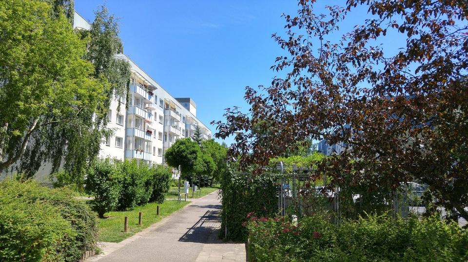 Etagenwohnung Neubrandenburg Carlshöhe - 1 Zimmer, 25 m&sup2;, 170&euro; | Angebot:25918372