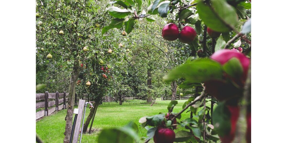 Provisionsfrei* Blockbohlenhaus mit Solaranlage & großem Grundstück - Wohnen im Naturparadies von Rühlow (Sponholz) - Einfamilienhaus Rühlow Rühlow | Angebot:26256230