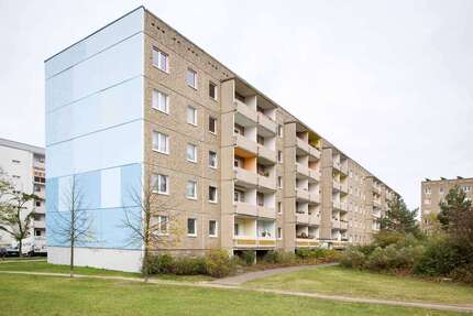 Wohnung Neubrandenburg Reitbahnviertel - 3 Zimmer, 60 m&sup2;, 237&euro; | Angebot:24694360