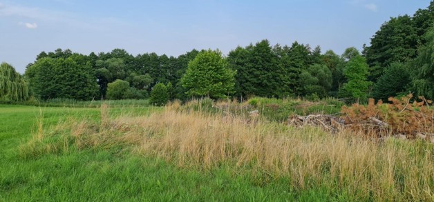 Ganz nah am Tollensesee - Grundstück Penzlin | Angebot:19800428
