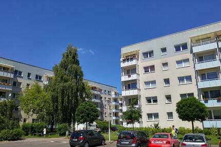 Wohnung Neubrandenburg Carlshöhe - 1 Zimmer, 25 m&sup2;, 170&euro; | Angebot:25918372