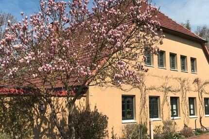 Haus Wulkenzin - 8 Zimmer, 240 m&sup2;, 880.000&euro; | Angebot:26806979