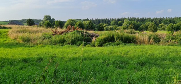 Ganz nah am Tollensesee - Grundstück Penzlin | Angebot:19800428