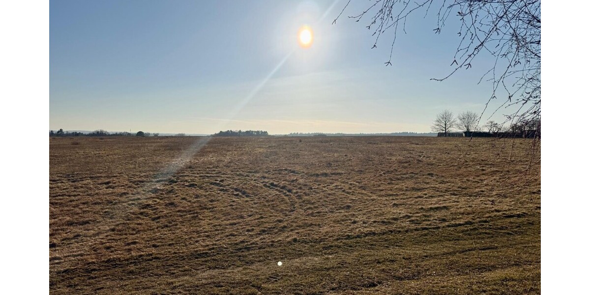 HORN IMMOBILIEN++ 15 km bis Neubrandenburg, schöne Doppelhaushälfte mit großen Grundstück & 2 Garagen - Doppelhaushälfte Bassow Bassow | Angebot:26085785