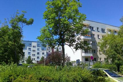 Wohnung Neubrandenburg Carlshöhe - 1 Zimmer, 25 m&sup2;, 170&euro; | Angebot:26194816