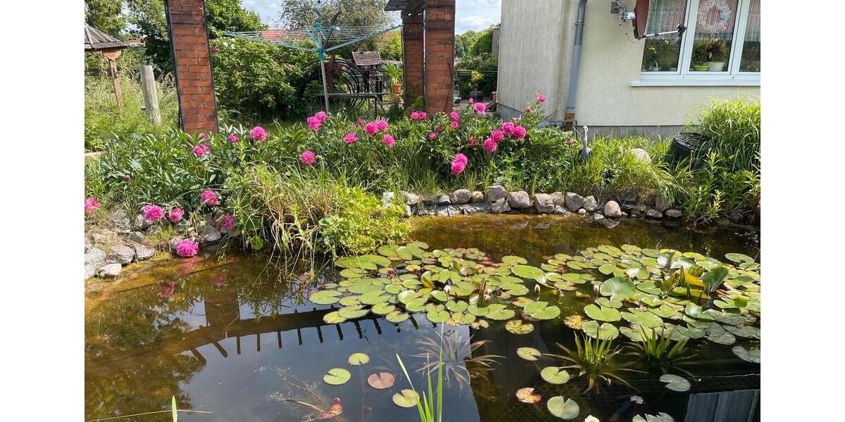 Einfamilienhaus Woldegk - 5 Zimmer, 188 m&sup2;, 350.000&euro; | Angebot:24373158