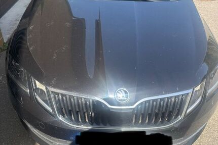 Skoda Octavia 110.550 km 17.000 &euro; Neustrelitz 17235