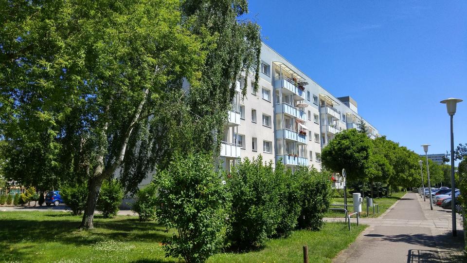 Etagenwohnung Neubrandenburg Carlshöhe - 3 Zimmer, 66 m&sup2;, 370&euro; | Angebot:25918371