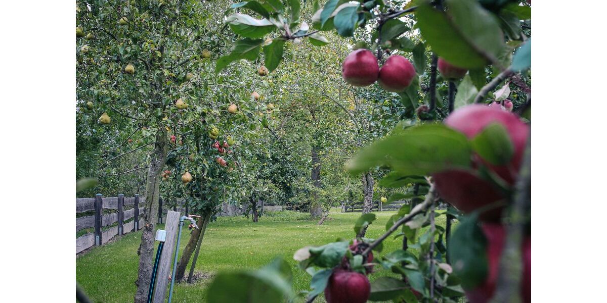 Provisionsfrei* Blockbohlenhaus mit Solaranlage & großem Grundstück - Wohnen im Naturparadies von Rühlow (Sponholz) - Einfamilienhaus Rühlow Rühlow | Angebot:27230413