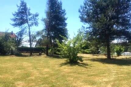 Grundstück Neustrelitz - 119.000&euro; | Angebot:23738437